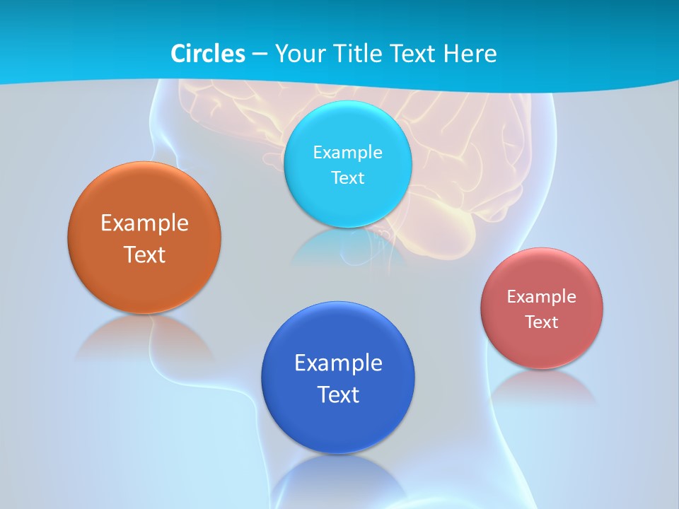 Cranium Health Muscular PowerPoint Template