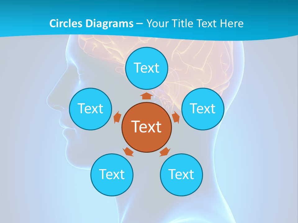 Cranium Health Muscular PowerPoint Template