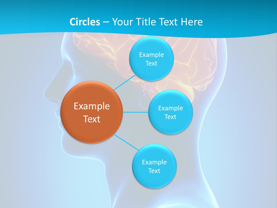 Cranium Health Muscular PowerPoint Template