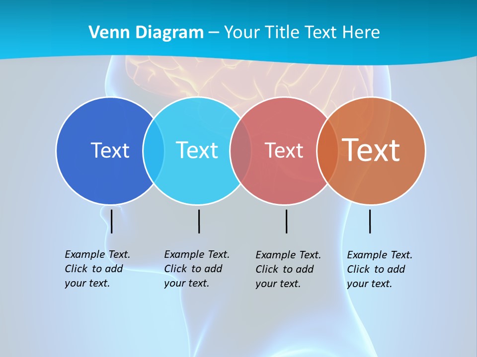 Cranium Health Muscular PowerPoint Template