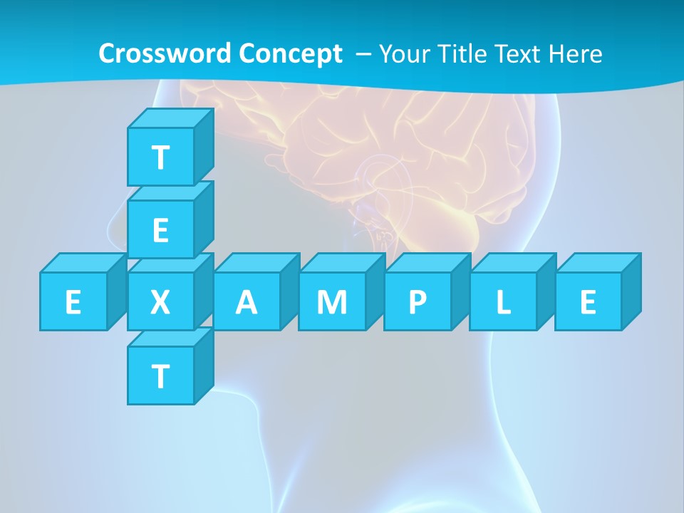 Cranium Health Muscular PowerPoint Template
