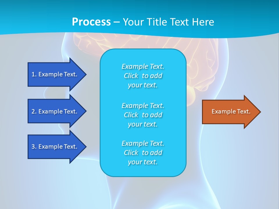 Cranium Health Muscular PowerPoint Template