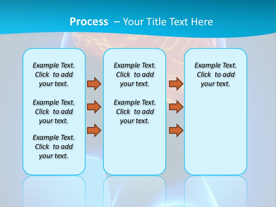 Cranium Health Muscular PowerPoint Template