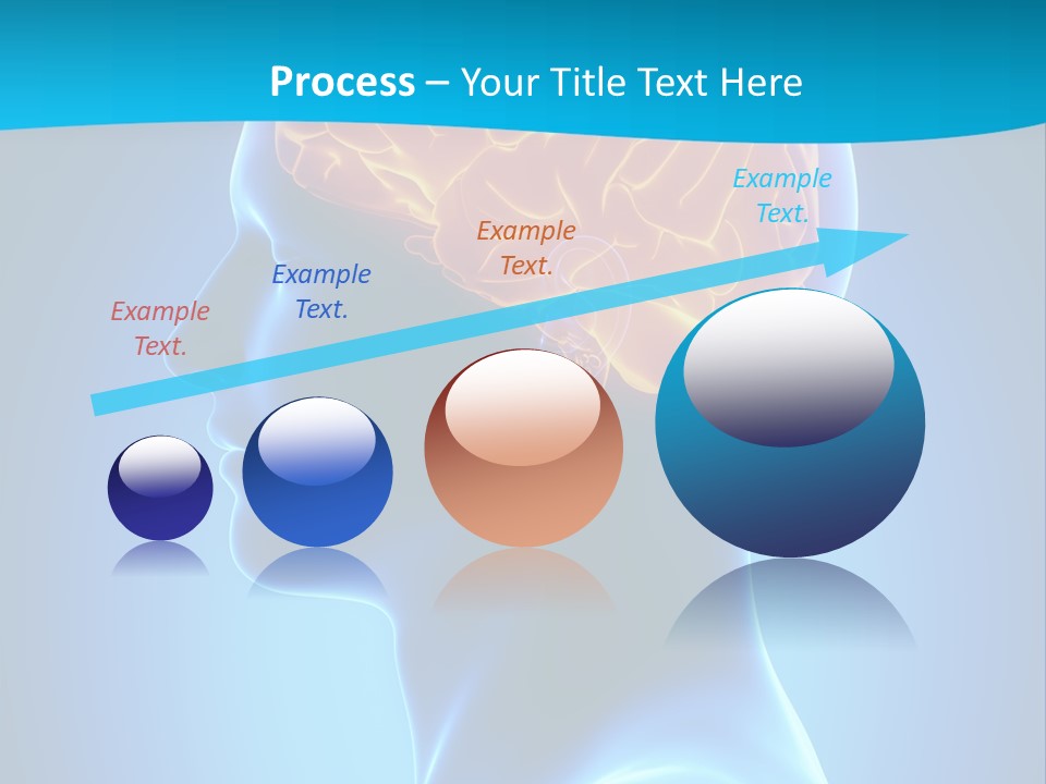 Cranium Health Muscular PowerPoint Template