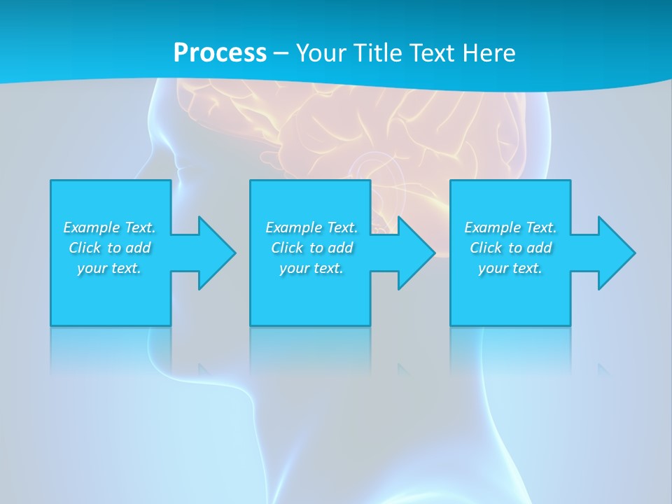Cranium Health Muscular PowerPoint Template