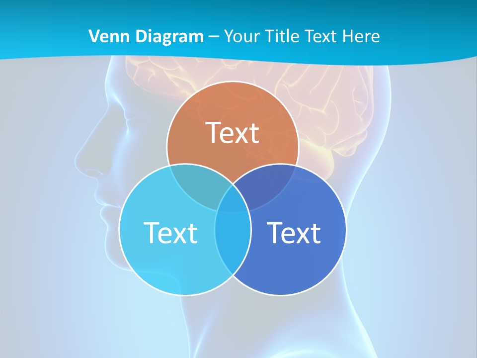 Cranium Health Muscular PowerPoint Template