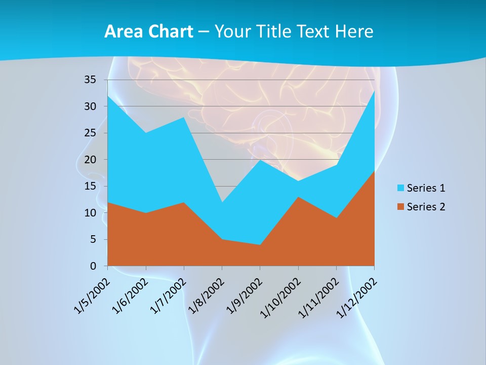 Cranium Health Muscular PowerPoint Template