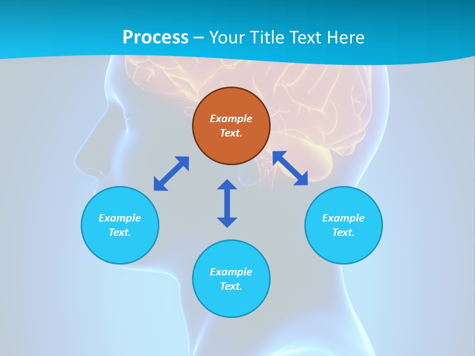 Cranium Health Muscular PowerPoint Template