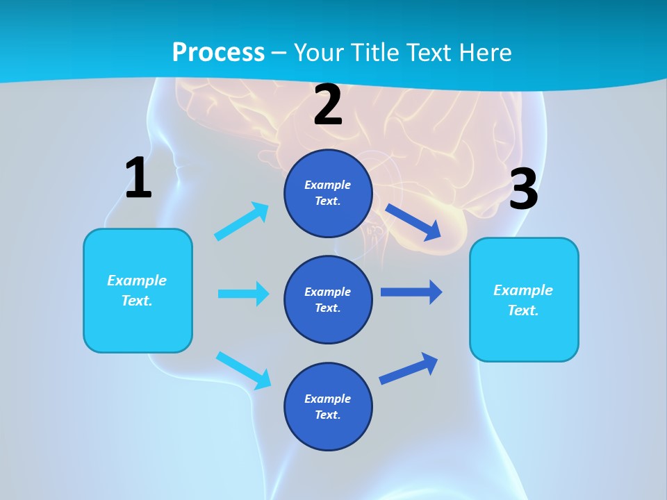 Cranium Health Muscular PowerPoint Template