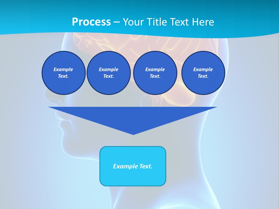 Cranium Health Muscular PowerPoint Template