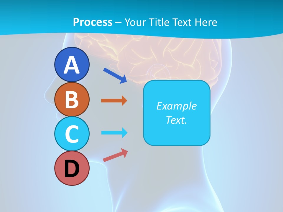 Cranium Health Muscular PowerPoint Template