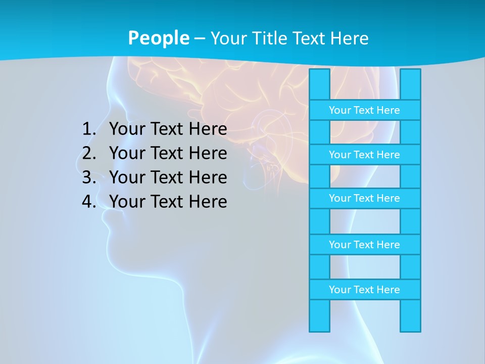 Cranium Health Muscular PowerPoint Template