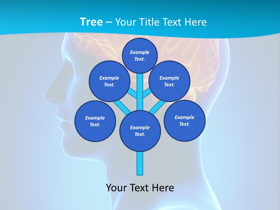 Cranium Health Muscular PowerPoint Template