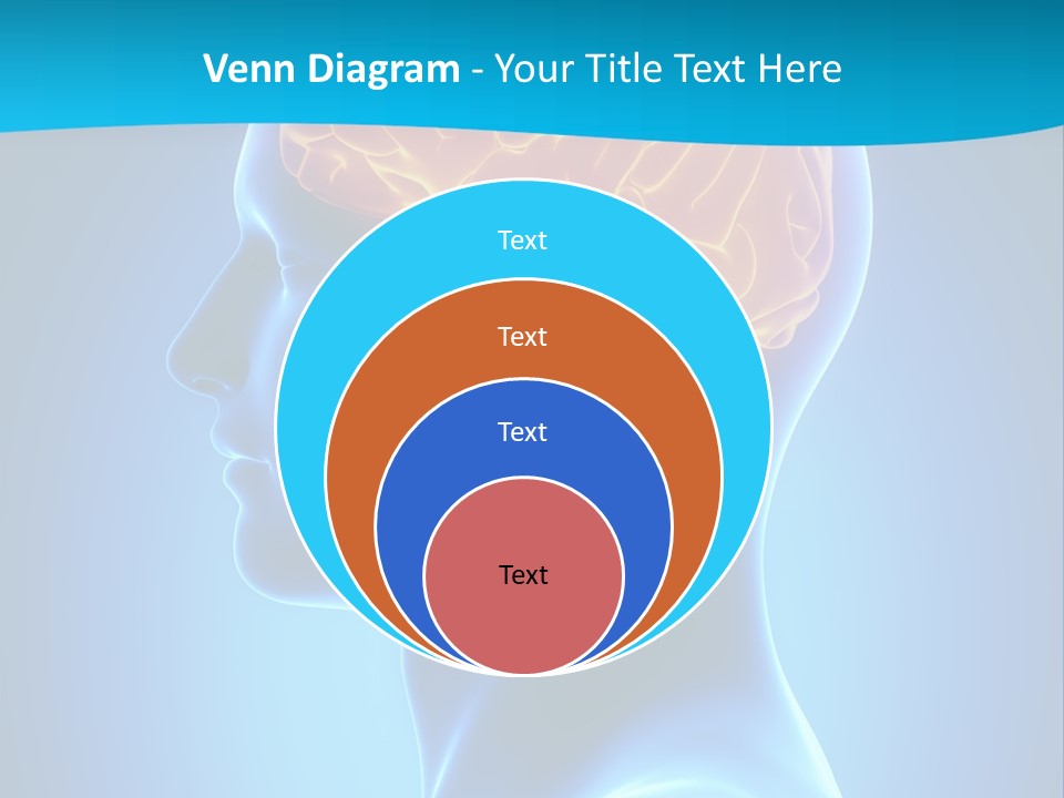 Cranium Health Muscular PowerPoint Template