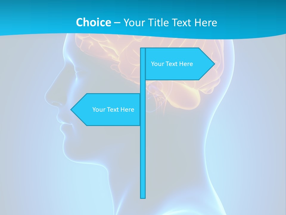 Cranium Health Muscular PowerPoint Template