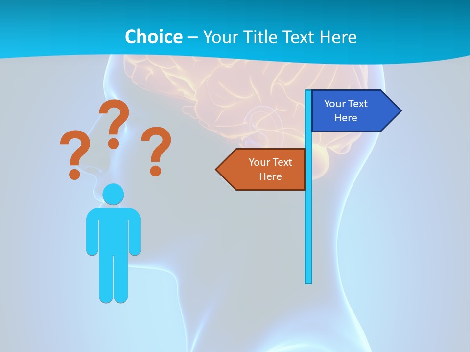 Cranium Health Muscular PowerPoint Template