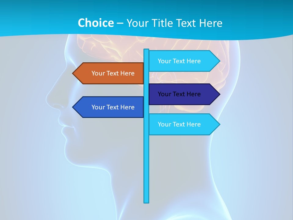 Cranium Health Muscular PowerPoint Template