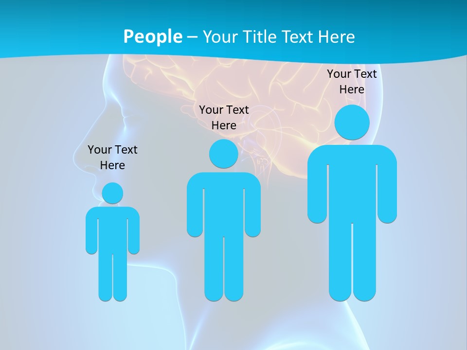 Cranium Health Muscular PowerPoint Template