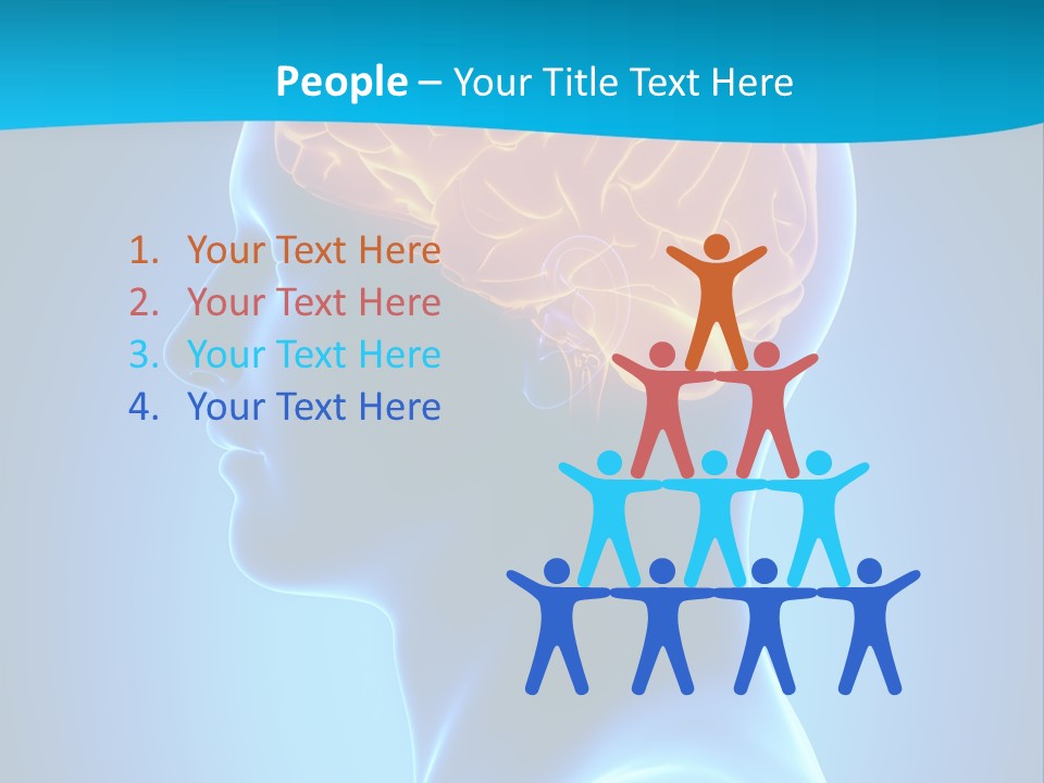 Cranium Health Muscular PowerPoint Template