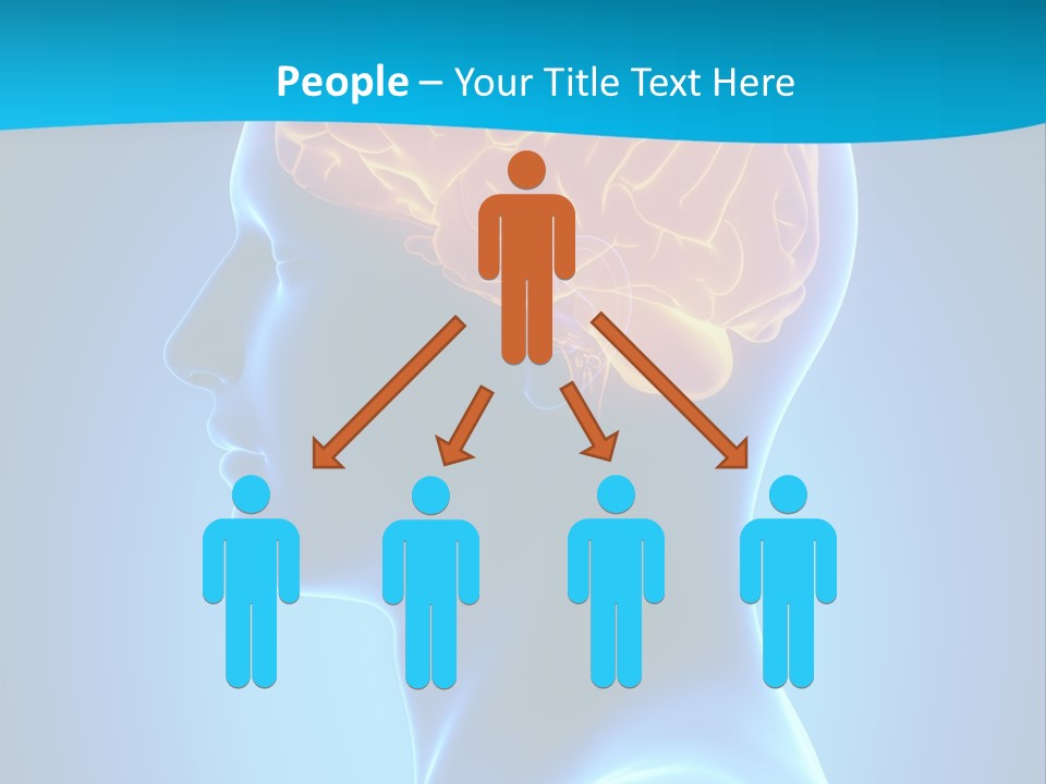 Cranium Health Muscular PowerPoint Template