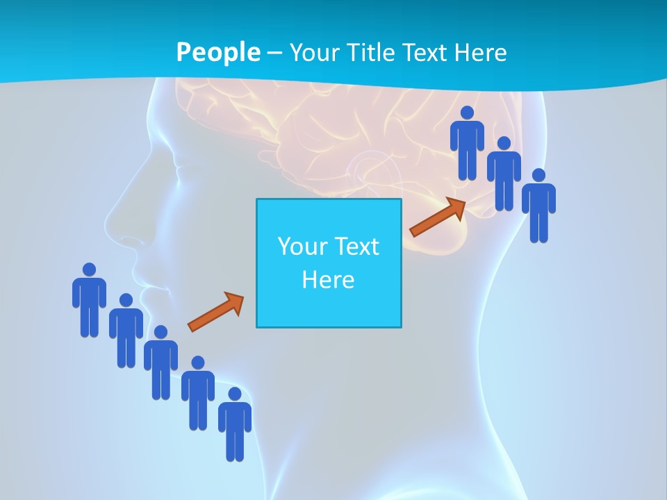 Cranium Health Muscular PowerPoint Template