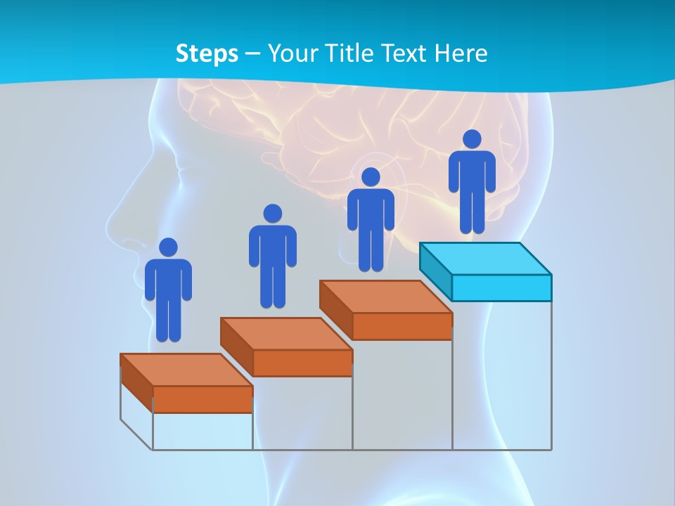 Cranium Health Muscular PowerPoint Template