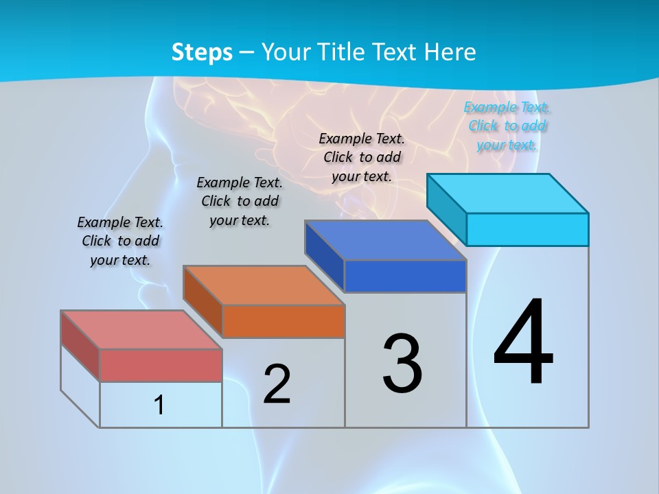 Cranium Health Muscular PowerPoint Template