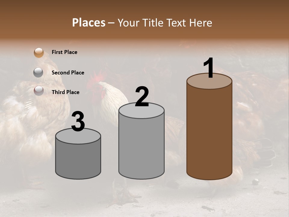 Red Poultry Bird PowerPoint Template