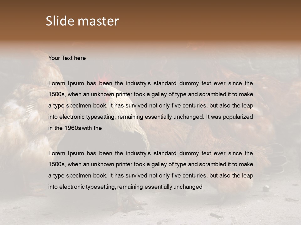 Red Poultry Bird PowerPoint Template