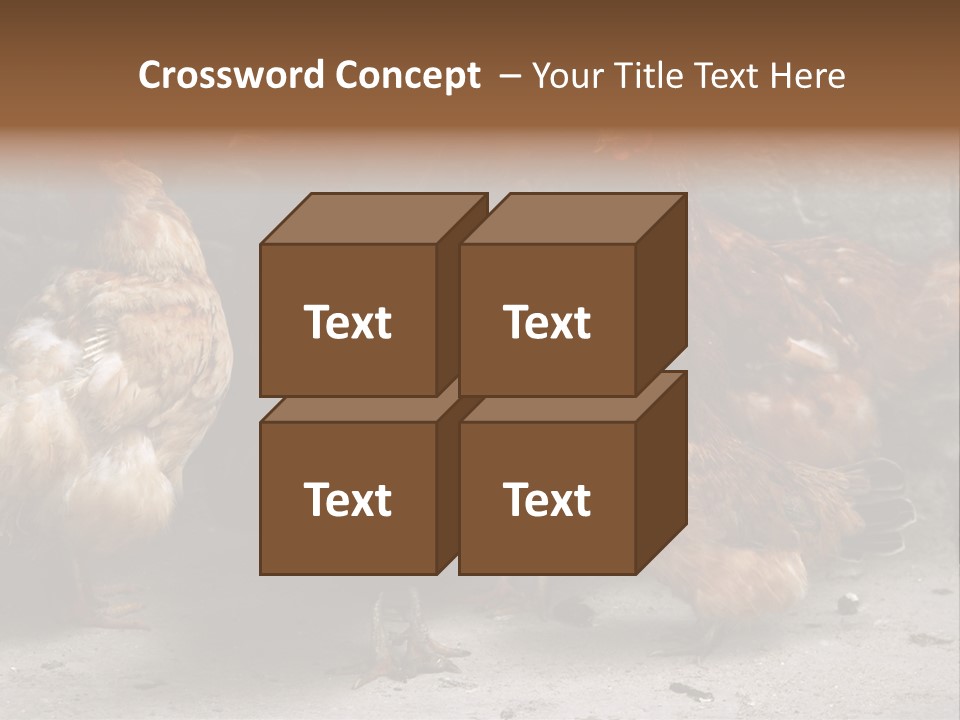 Red Poultry Bird PowerPoint Template