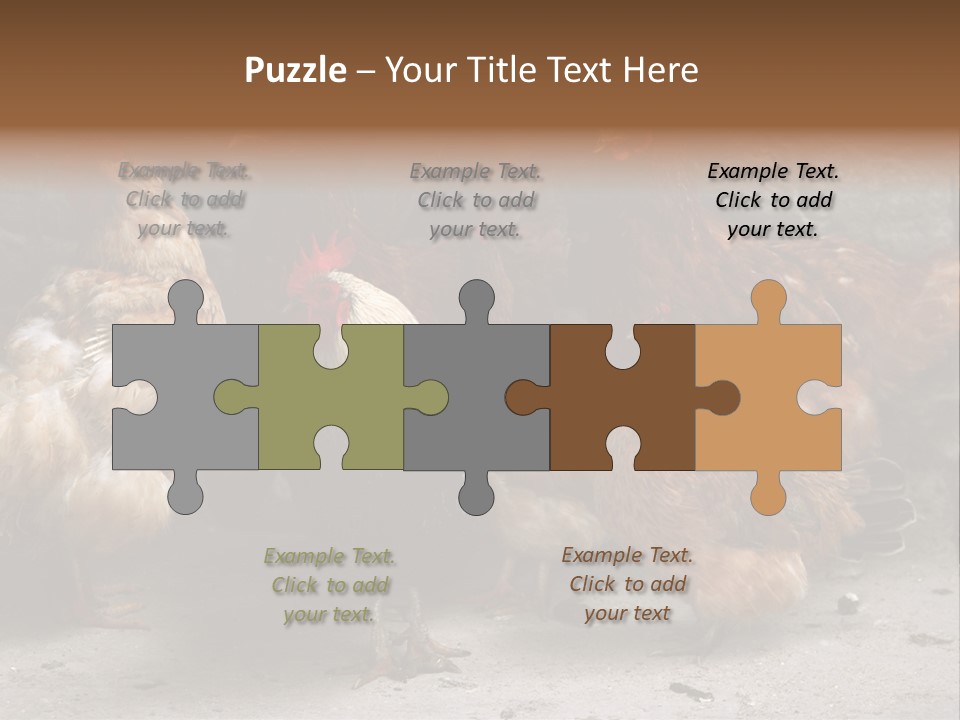 Red Poultry Bird PowerPoint Template