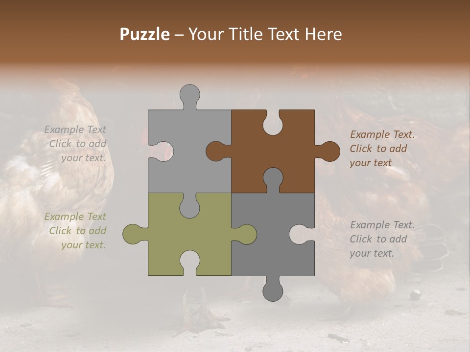 Red Poultry Bird PowerPoint Template