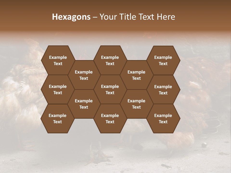 Red Poultry Bird PowerPoint Template