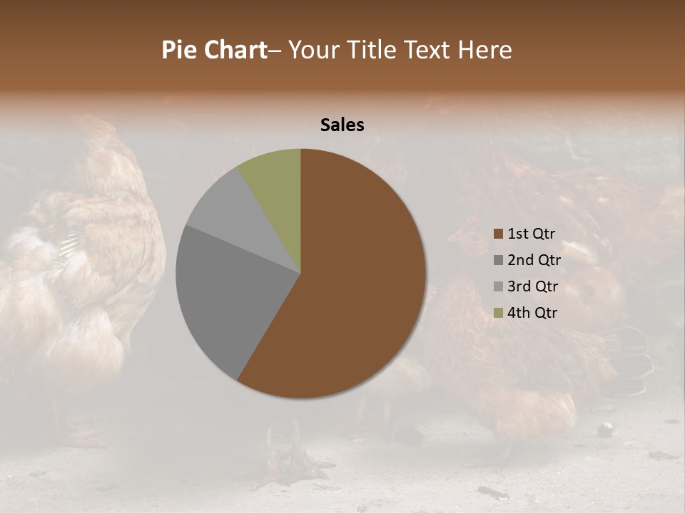 Red Poultry Bird PowerPoint Template
