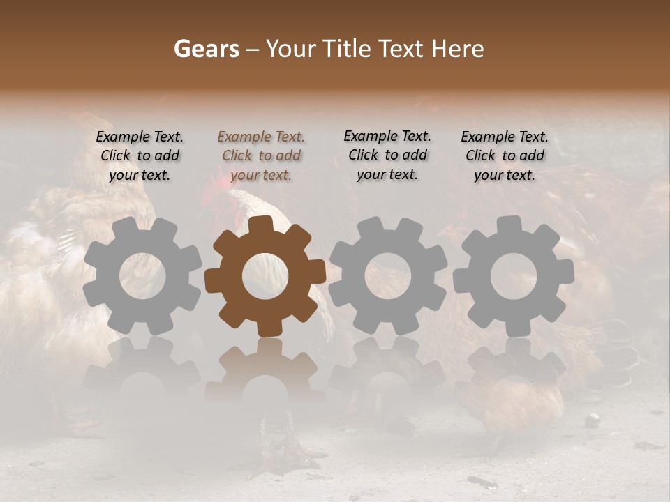 Red Poultry Bird PowerPoint Template