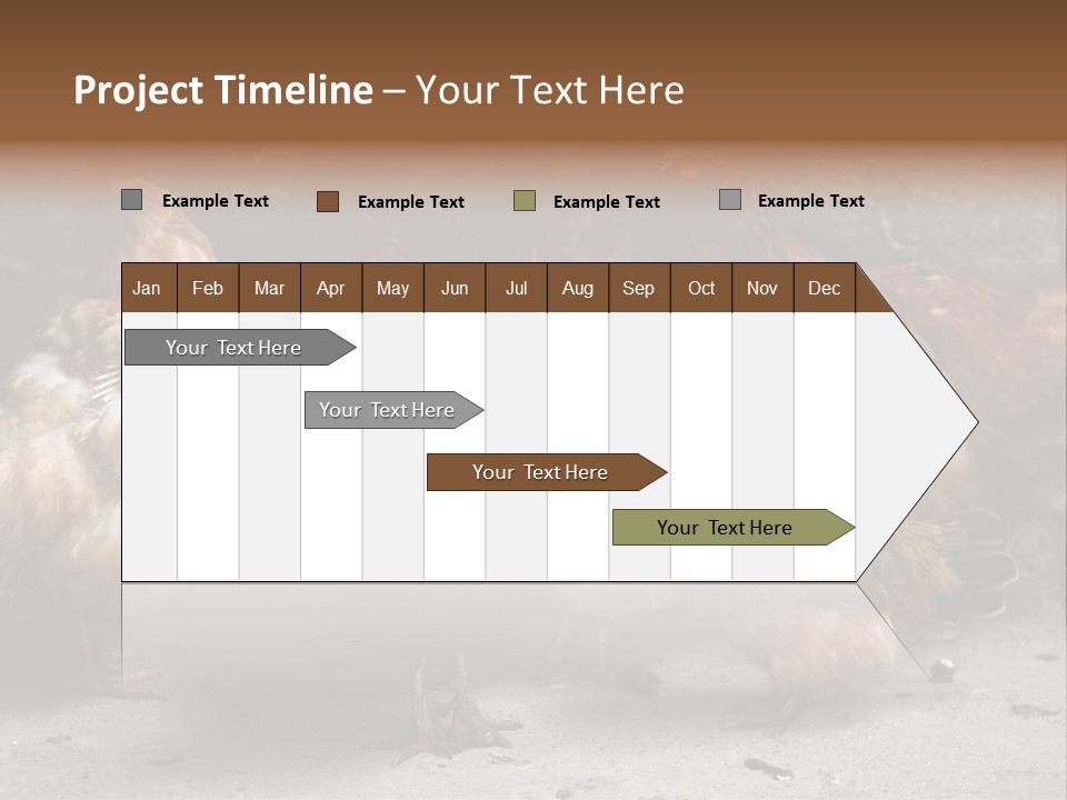 Red Poultry Bird PowerPoint Template