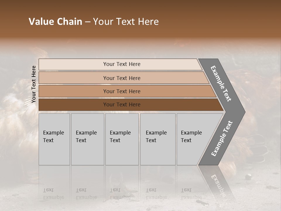 Red Poultry Bird PowerPoint Template