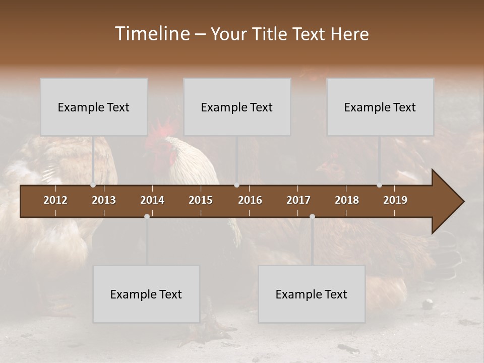 Red Poultry Bird PowerPoint Template
