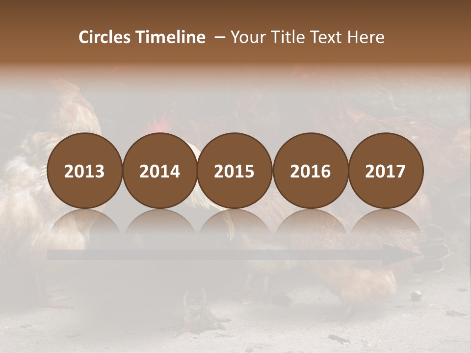 Red Poultry Bird PowerPoint Template