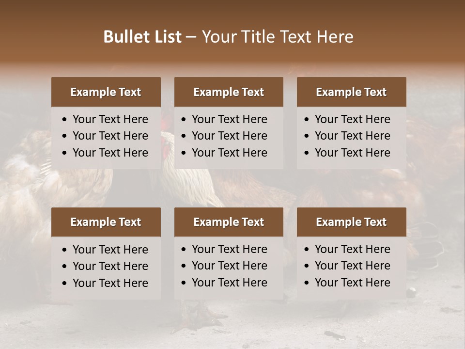 Red Poultry Bird PowerPoint Template