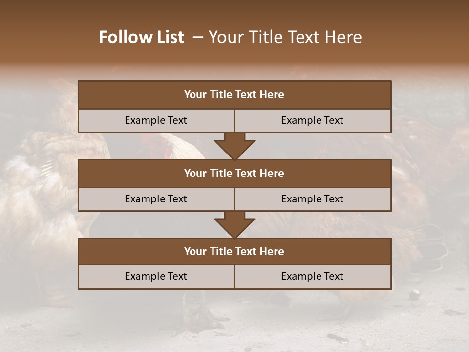 Red Poultry Bird PowerPoint Template