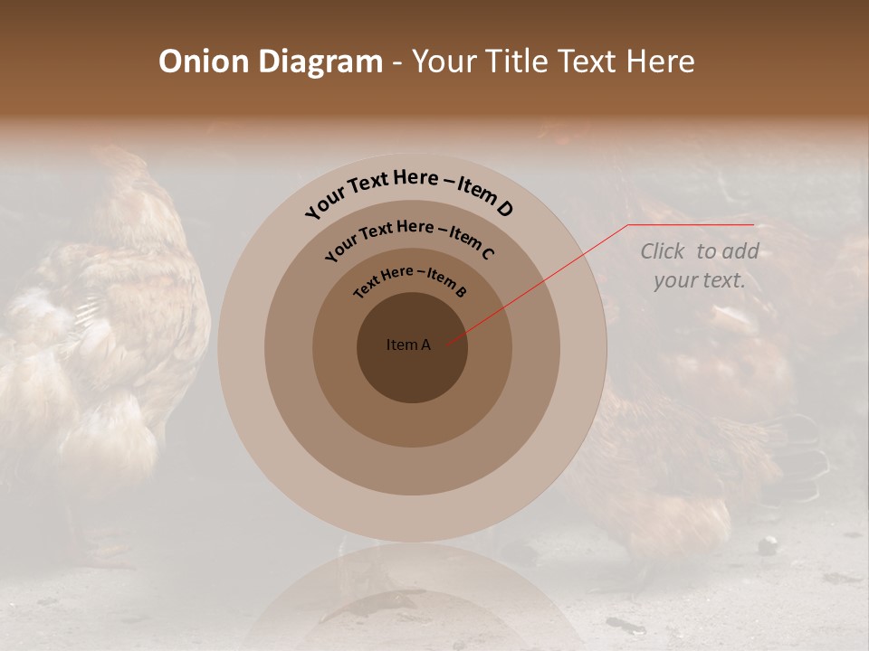 Red Poultry Bird PowerPoint Template