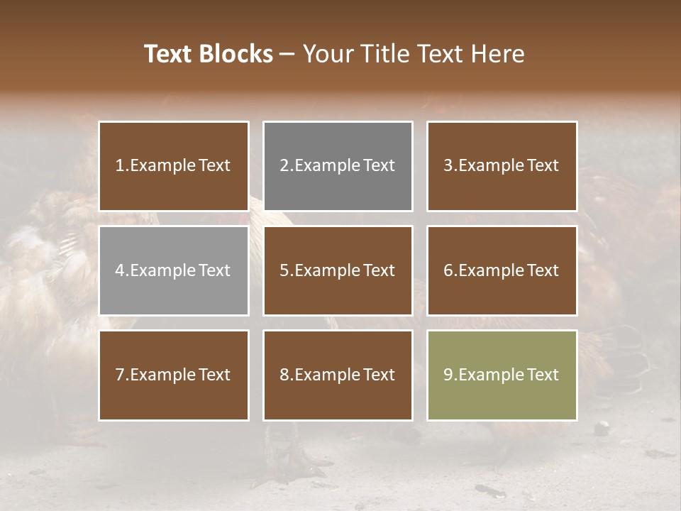 Red Poultry Bird PowerPoint Template