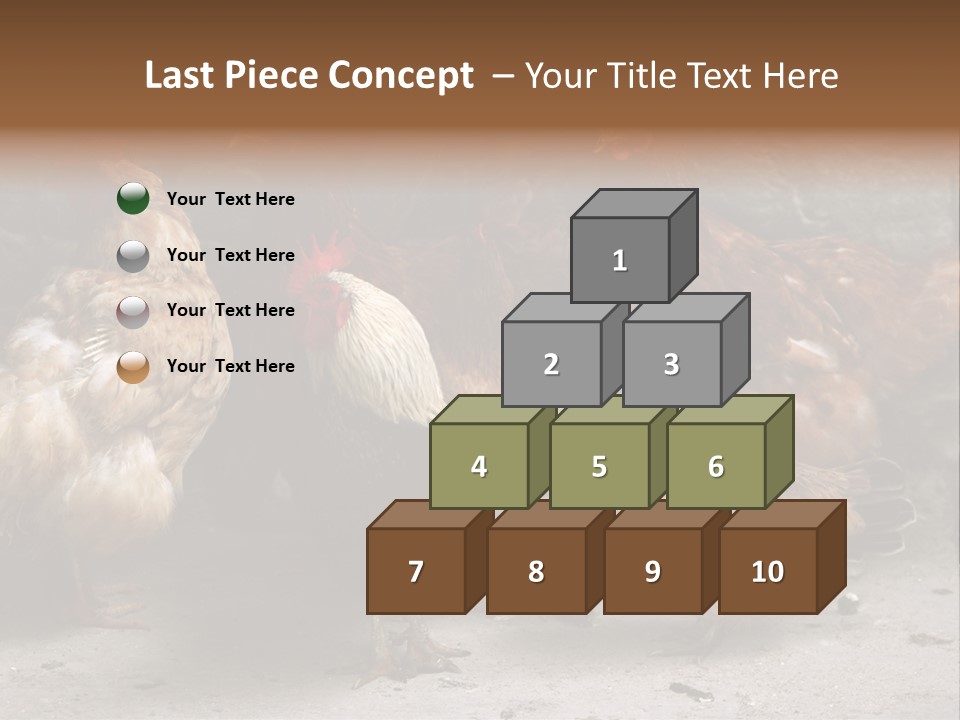Red Poultry Bird PowerPoint Template