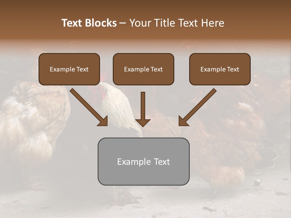Red Poultry Bird PowerPoint Template