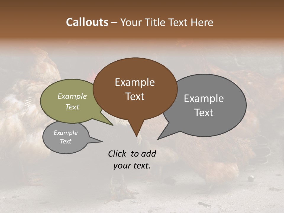 Red Poultry Bird PowerPoint Template