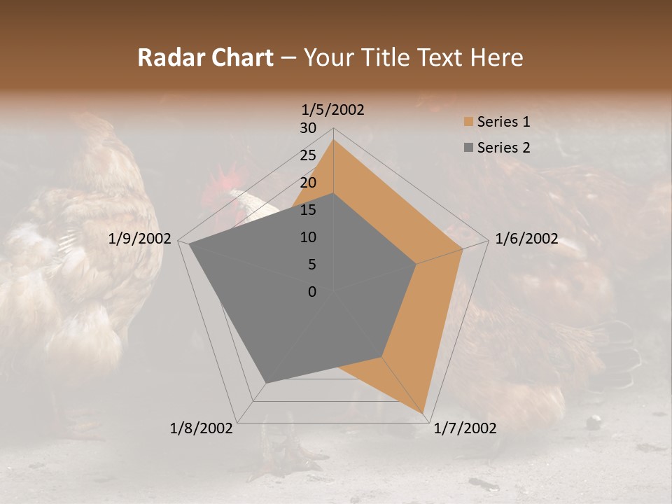 Red Poultry Bird PowerPoint Template