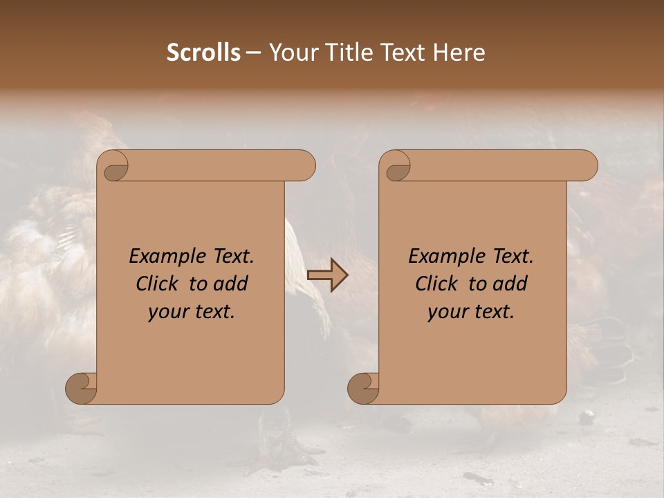 Red Poultry Bird PowerPoint Template