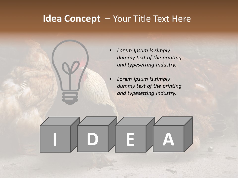 Red Poultry Bird PowerPoint Template