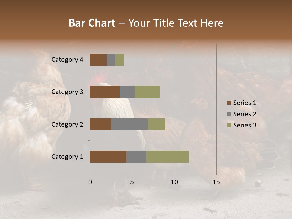 Red Poultry Bird PowerPoint Template